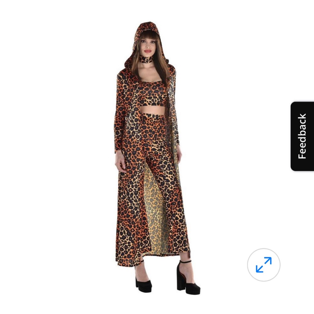 Shania Twain Costume